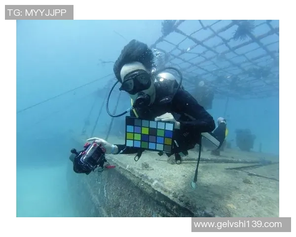 上海极限运动队实力深度解析与对比分析