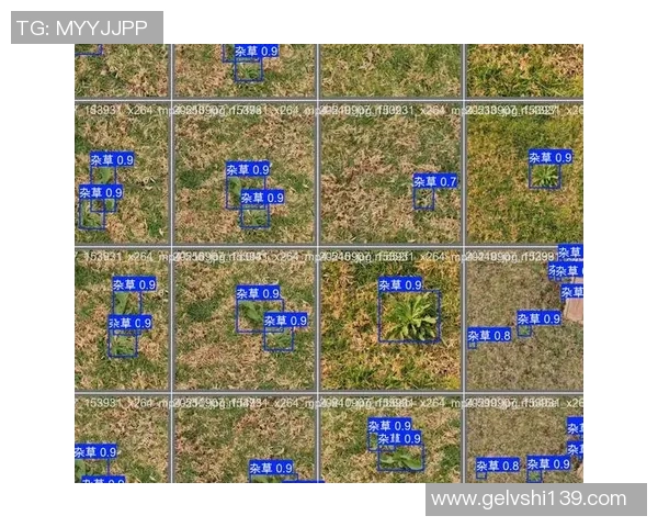 广州攀岩队耐力表现数据分析揭示训练效果与提升策略
