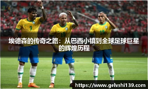 TVT体育官网